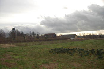 site of Shefford watermill January 2008